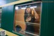 A woman in a black dress is looking out of a train window.